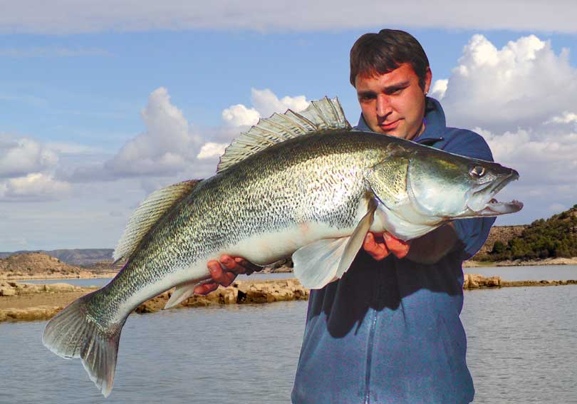 Rybaření a ubytování v Campu Ebro