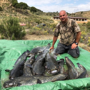 Fotogalerie Camp Ebro Fänge im Camp 2018