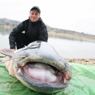 Fotogalerie Camp Ebro Catches in campsite in 2018