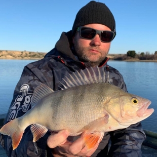 Fotogalerie Camp Ebro Catches in campsite in 2019