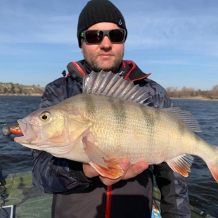 Fotogalerie Camp Ebro Fänge im Camp 2019