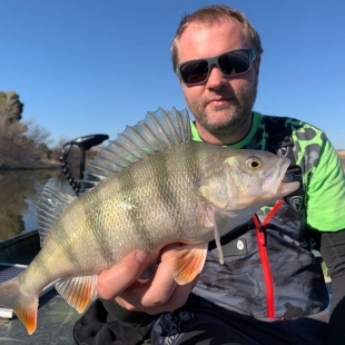 Fotogalerie Camp Ebro Catches in campsite in 2019