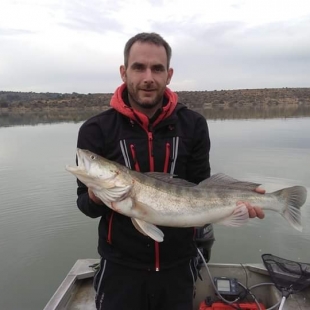 Fotogalerie Camp Ebro Catches in campsite in 2019