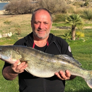 Fotogalerie Camp Ebro Catches in campsite in 2019