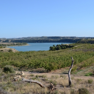 Fotogalerie Camp Ebro Řeka Ebro se na vás těší