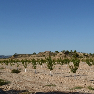 Fotogalerie Camp Ebro River Ebro is looking forward to your visit 