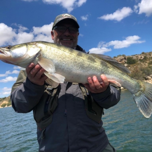 Fotogalerie Camp Ebro Catches in campsite in 2019